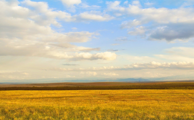  Productores agropecuarios en Uruguay