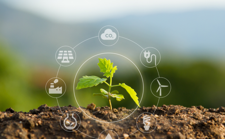  La opinión pública y la cuestión ambiental